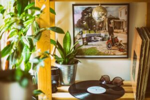 How to Refresh Your Home with Plants: A Simple Guide